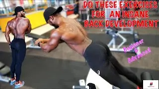 Need help building your back? try these exercises ||Beginner & Advanced Moves