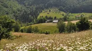 Constantin Silvestri (1913-1969): Romanian dances from Transylvania (1929)