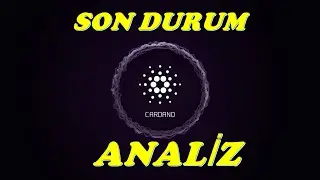 #CARDANO