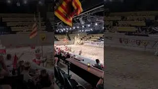 I had an awesome time at the Medieval Times in Toronto. My boy Red and Yellow Knight lost though.