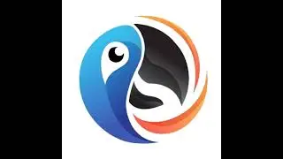 MACAW COMPUTER Live Stream