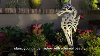 The magic of landscape lighting for Orange County.
