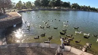 Touring the Sunset Park Lake,Las Vegas,Nevada