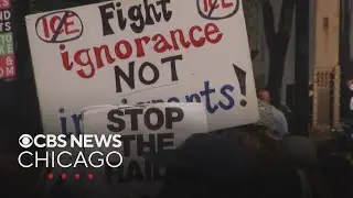 Chicago Labor Day protest opposes Trump policies, ICE operations