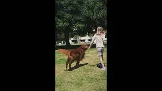 The dog is trying to catch the food by jumping up and down