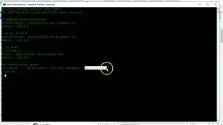 nslookup: check if dns ptr record exists