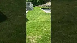 Grading and new seeding lawn area after new pool construction.