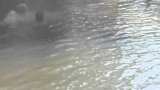No Bait...No Problem