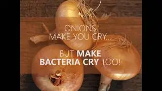 Top 5 natural antibiotics to fight infection