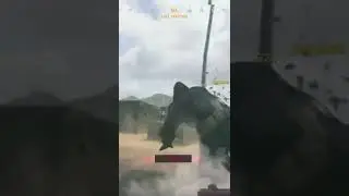 CoD Vanguard Another man gets Yeeted into the Water