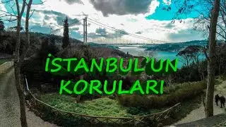 İSTANBUL | İSTANBUL'UN KORULARI | OTAĞTEPE FATİH KORUSU | MİHRABAT KORUSU | HİDİV KASRI VE KORUSU