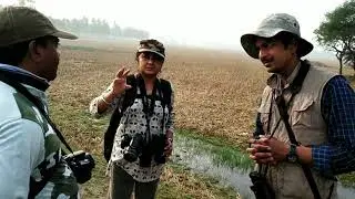 Birding at Bali Island, Sundarban, India.