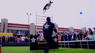 Canine Stars at NASCAR 🏁