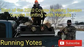Start of the 2020 Coyote Season Hunting with Hounds