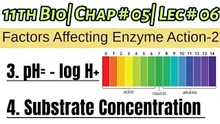 Factors affecting the Rate of Enzyme Action| Explain pH ?| Substrate Concentration| 11th Bio|Lec # 6