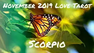 Scorpio November 2019 Love Tarot - Intimidated By This New Love