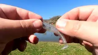Using Expos Lures from Small Companies.