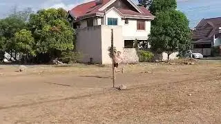 Bounding (Slow motion) | Karl Aquino