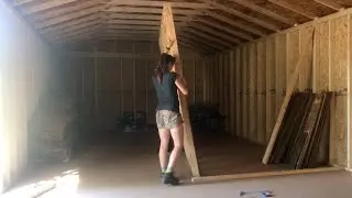 Framing in the Main Shed