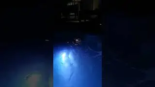 RayRay's night time hot tub lighting