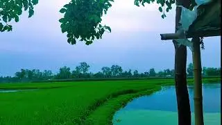 #nature #april15 #unfrezzmyaccount #whowillbemylifepartnerta #taxday