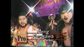 Meng & Kurasawa in action   Pro Aug 5th, 1995