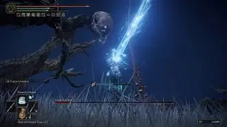 Night's Cavalry and Death Rite Bird encounter in Caelid | Int Build - Dark Moon Greatsword