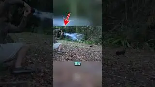 How Net Guns Safely Capture People and Animals