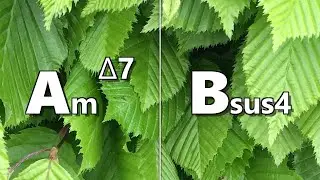 Am maj7 to Bsus4 Backing Track