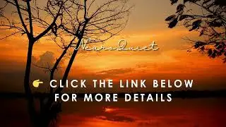 🧘 Neuro Quiet Review | Calm Your Mind & Improve Focus Naturally