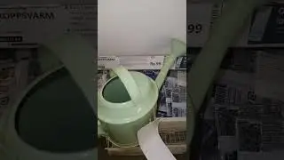 water can #watercan #ikea #plants