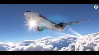 Singapore Airlines ne li jaan #youtube #viral video😭🥺