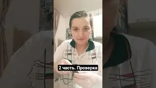 На следующий день произошла проверка аномалии