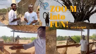 Exploring Nature's Playground at Al Ain Zoo, where the Animals Are Cooler Than Us!