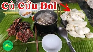 Tập 8 : Đào Củ Cứu Đói Và Xuýt Phải Ăn Hoa Chuối Không