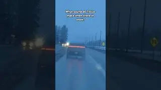 Every time I see one #subscribe #cybertruck #tesla #funnyvideo #funnyshorts #funny
