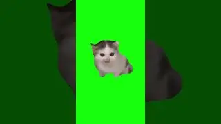 German Cat | Green Screen #cat #catmeme #german #germany #painter #kitten #meme #memes #fyp