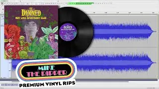 The Damned -  There's a Ghost in My House - vinyl rip - Not Like Everybody Else - needle drop