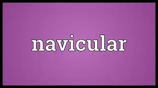 Navicular Meaning