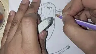 Drawing Bald Eagle🦅 (Art Game Drawing)/ Available in 4K Ultra HD