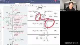 Glycolysis Walk Through