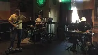 Beagle Blues Brigade- Das Blues