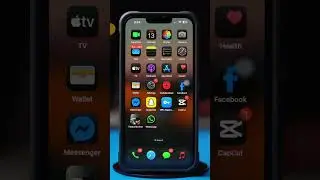 How to Save WhatsApp Photos or Videos Automatically on iPhone | Auto Download Media on iOS