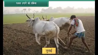 Class 4 EVS : Basva's Farm | Fun and Educational Learning!