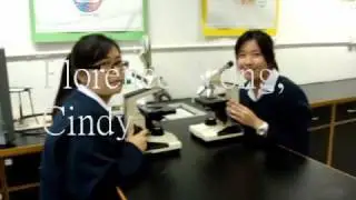 TopStudents.wmv