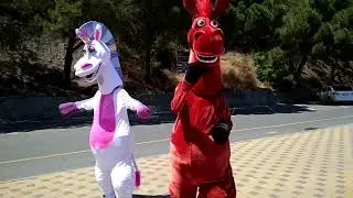 How to suit up Horse mascot costume | Mascot costumes TV
