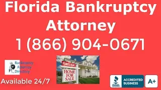 Tampa FL Chapter 7 Or Chapter 13 Bankruptcy|(866) 904-0671|Chapter 11|Attorney|Lawyer