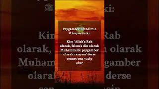 Morning and Evening Dhikr of Prophet Muhammad ﷺ #dhikr #morning #prophetmuhammad