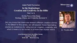 In the Beginnings: Creation & Creativity in the Bible