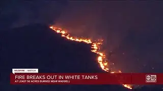 State Forestry: Brush fire burning on the White Tank Mountains